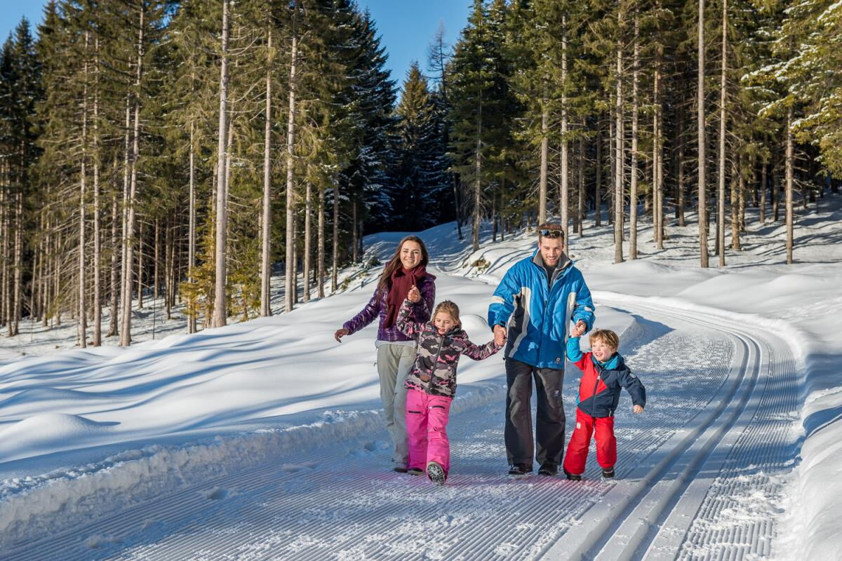 Family on the cross-country trail in the forest near the Grafenhäusl, cross-country skiing in the Inn valley in Tyrol