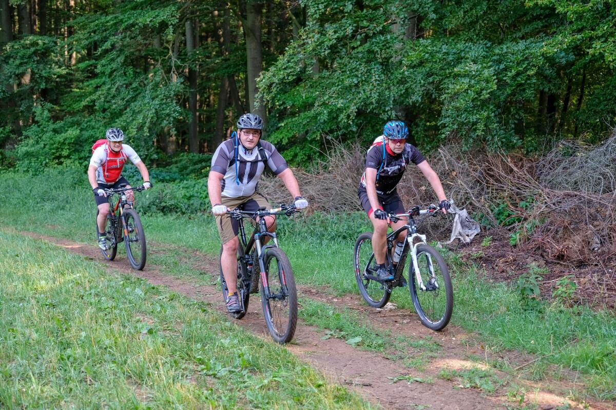 Mountainbiker im Wald nahe Mühlenhütte, Pielachtal-Radweg 3 km vom Privatteich entfernt