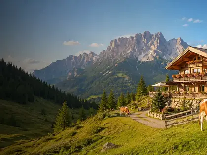 Almhütte auf der Almwiese mit weidenden Kühen