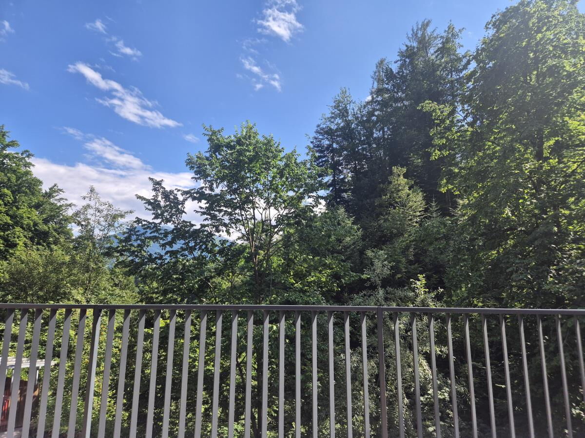Balkon mit Holzgeländer und Blick auf Bäume und Wiese an der Pferdeheimat am Karwendel in Gnadenwald in Tirol