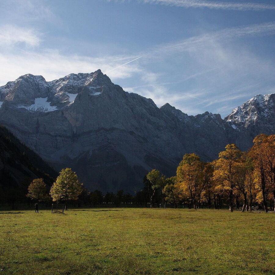 Der schöne Ahornboden in all seinen prächtigen Farben.