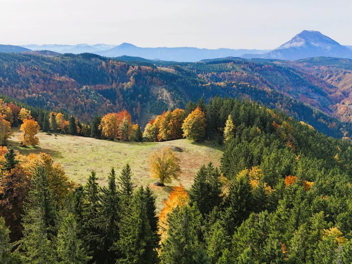 Herbstwald und Wiesen mit dem Ötscher am Horizont nahe Mühlenhütte, goldener Mostviertler Herbst