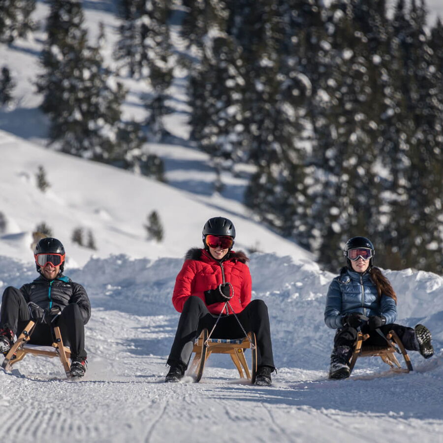 Nebeneinander die Rodelbahn hinunter rodeln.