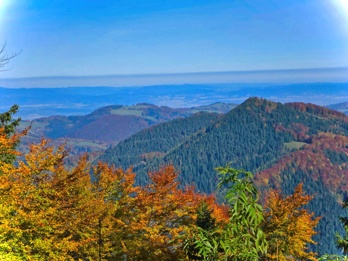 Herbstliches Bergpanorama mit goldenen Wäldern in Niederösterreich, Blick zur Abenteurer-Hütte.