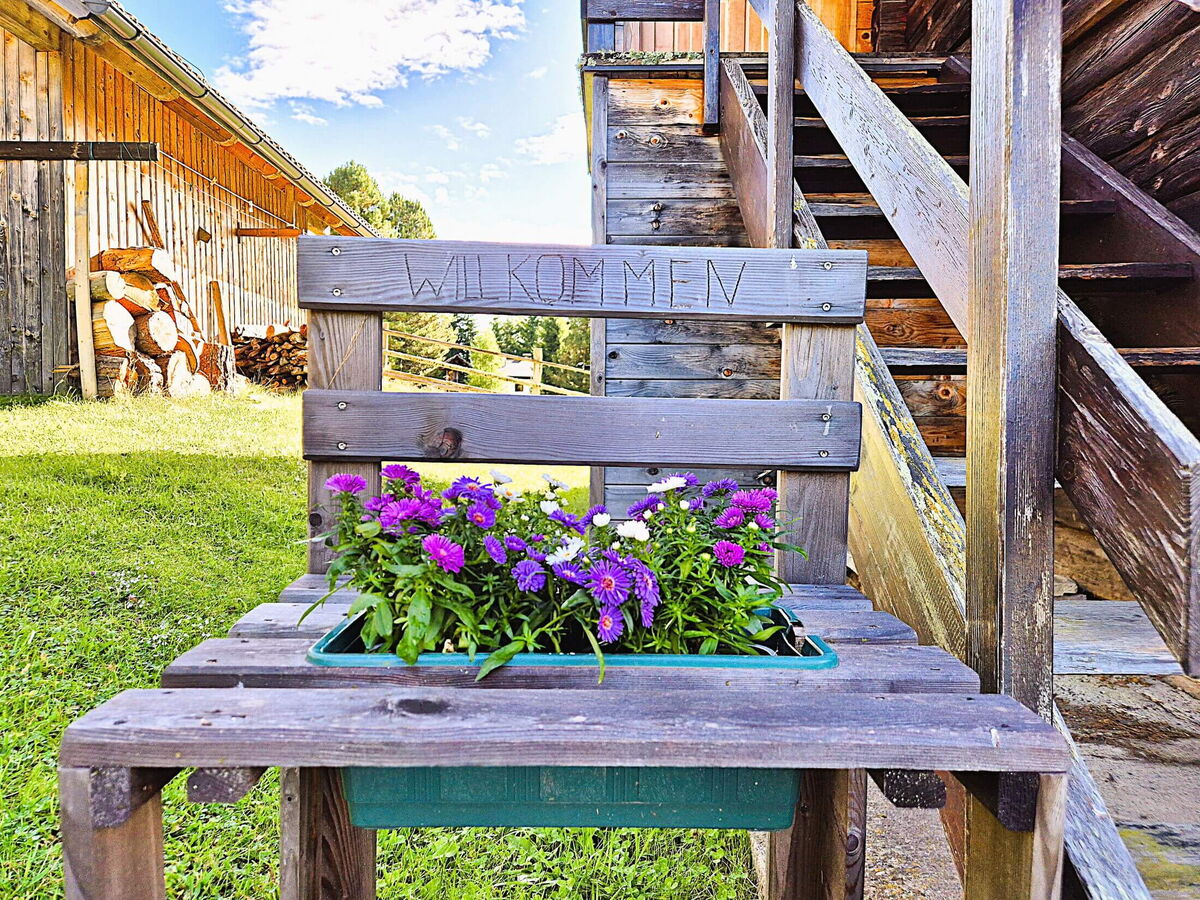 Holzbank mit bepflanzter Blumenkiste vor der Pietschacher Almhütte neben der Außentreppe
