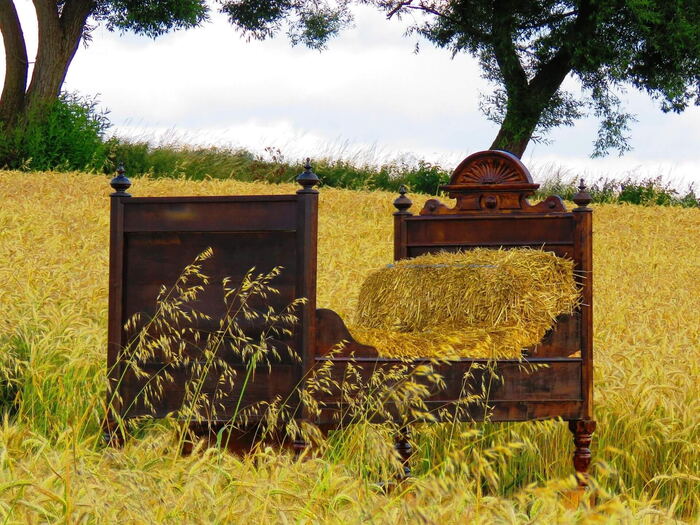 Sleeping in the straw – activity on a hut holiday
