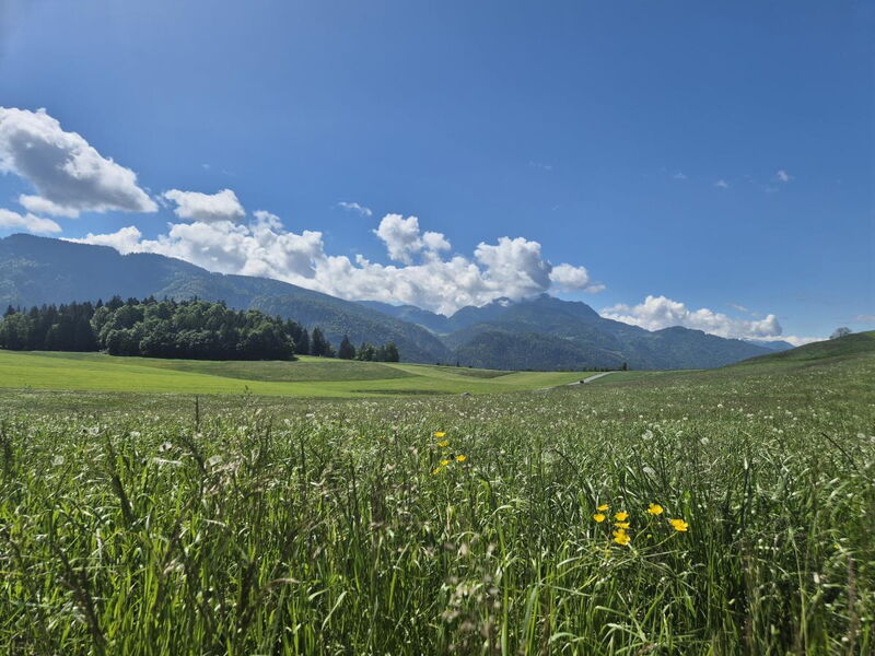 Troadkammer am Riedhof