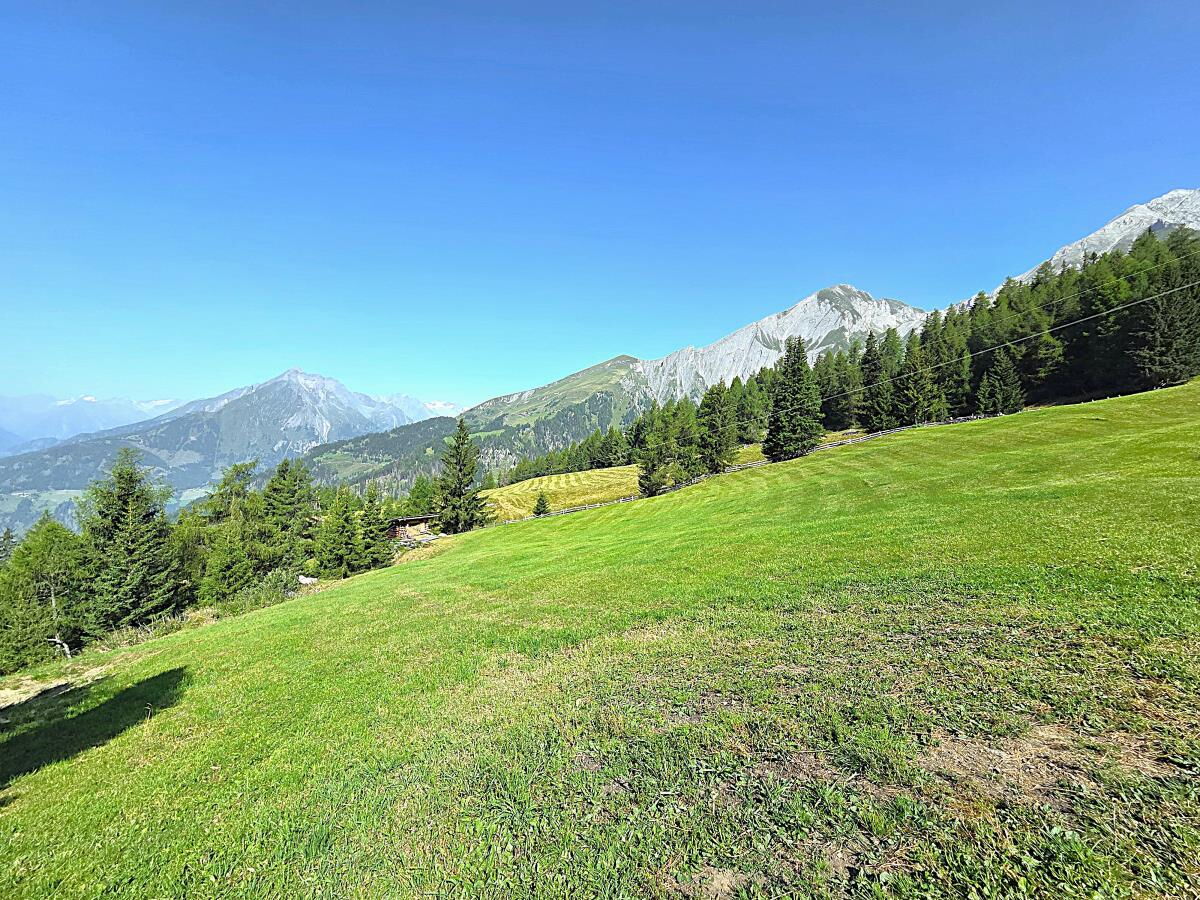 Almwiese mit Bergpanorama rund um die Zarze Almhütte, Sommer im Nationalpark Hohe Tauern in Osttirol