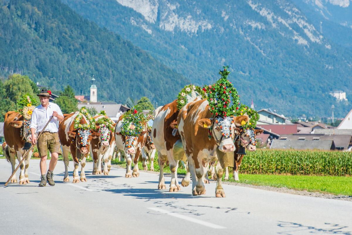 Almabtrieb mit geschmückten Tiroler Kühen – Waldhüttl, Berghütte für 2 Personen in der Silberregion Karwendel