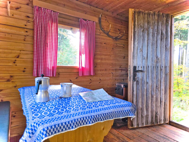Helle Wohnhütte mit Karieter Tischdecke und offener Holztür - Waldausblick inklusive