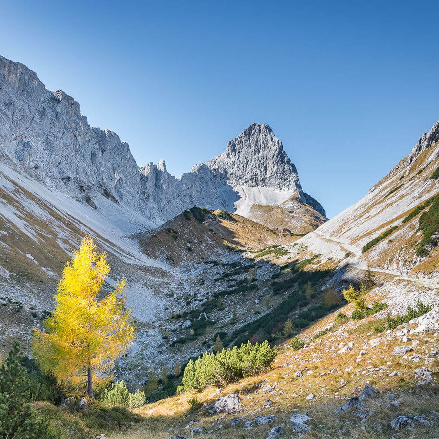 Im Herbst die Prachtvolle Lamsenspitz erklimmen.