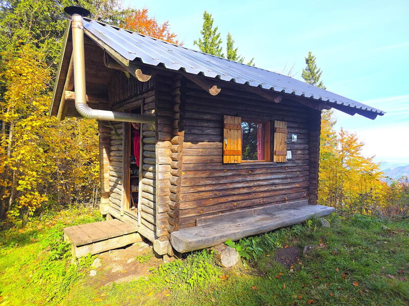 Außenansicht der Abenteurer-Hütte in Niederösterreich, urige Holzhütte eingebettet im herbstlichen Bergwald.