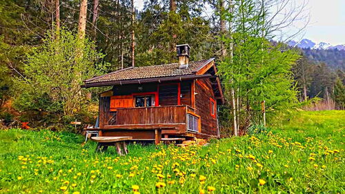 Die Blumenwiese rund um das Waldhüttl.