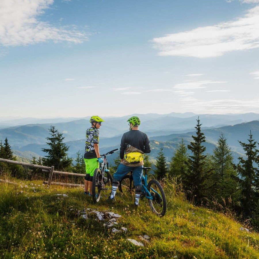 Die schöne Sicht mit dem Mountainbike vom Grebenzen im Naturpark genießen.