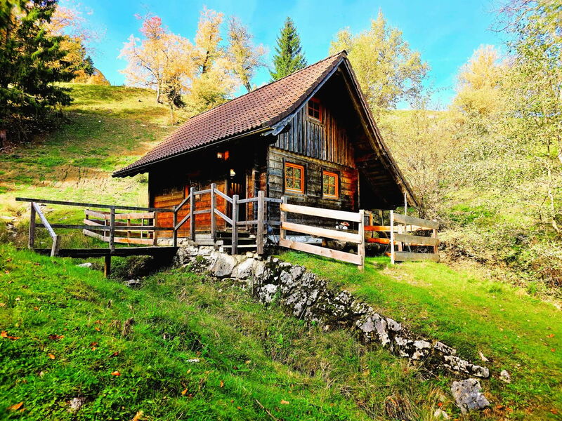 Mühlenhütte am Privatteich im Pielachtal mit Wiese, kleine Holzhütte für 5 Personen im Mostviertel