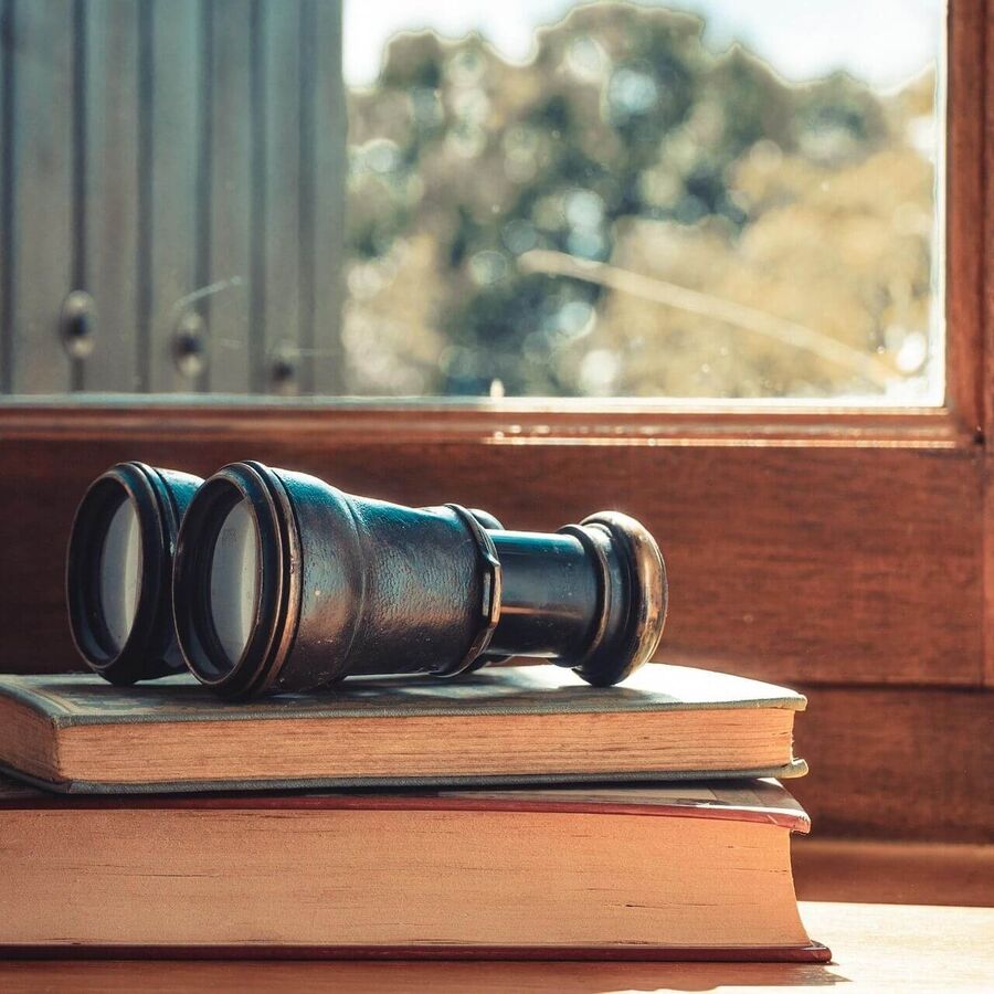 Bücherstapel vor einem Fenster, auf dem ein Fernglas liegt, symbolisierend die Verbindung zwischen Lesen und Beobachtung der Natur.