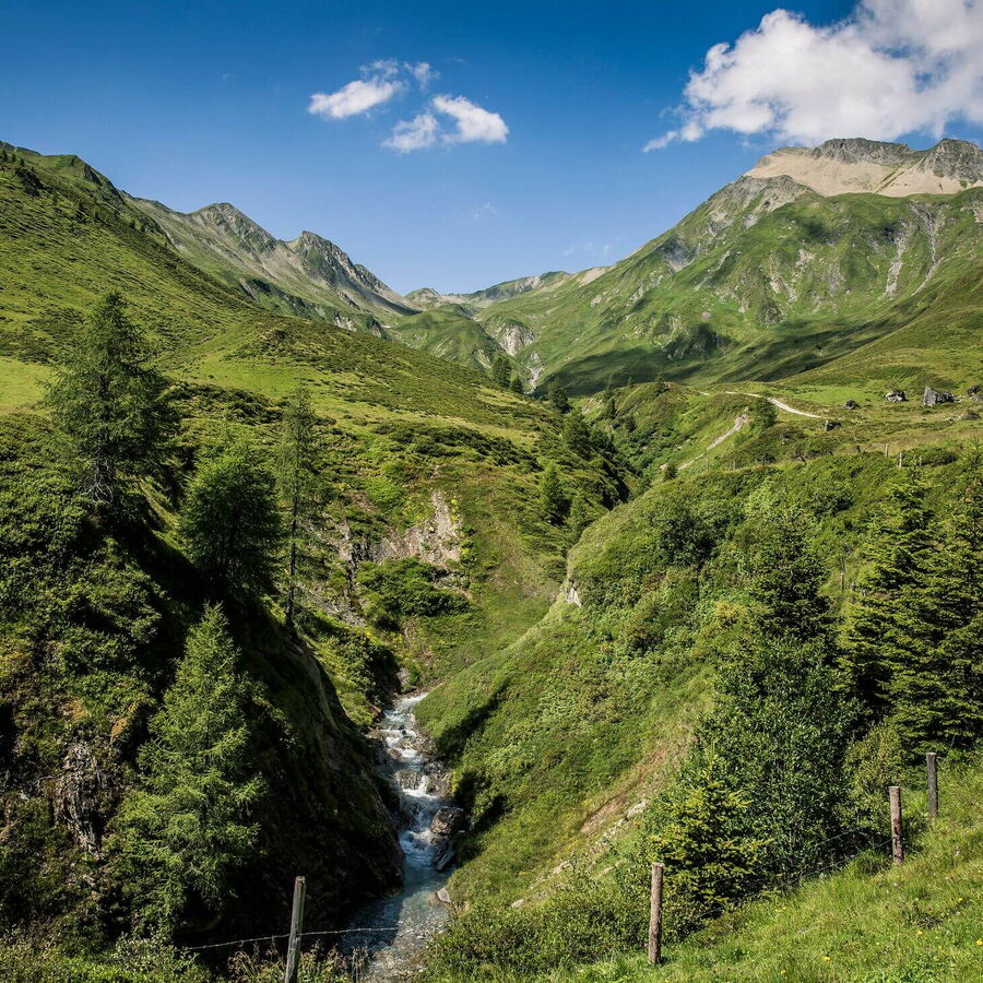 Schöne Alm und Berglandschaft mit saftigen Wiesen.