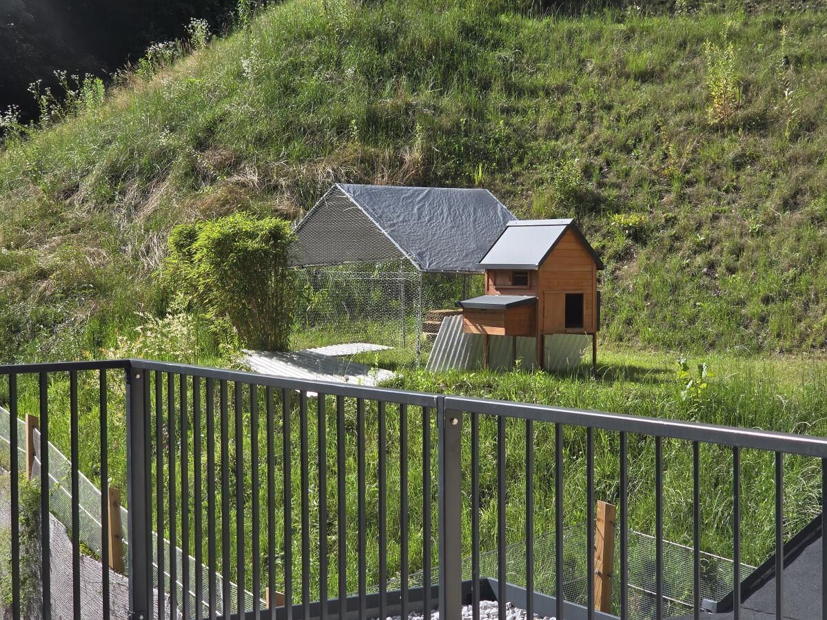 View from the terrace across the meadow to the small stable and the animals at the Pulvererhof in Gnadenwald