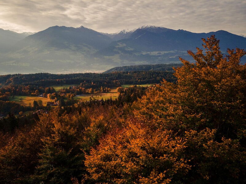Waldsicht am Karwendelgebirge