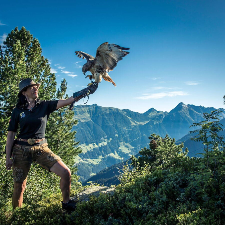 Die Adlerbühne am Ahorn präsentiert die Adlerdame den Adler auf ihren Arm.