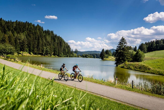Mountain bike on a trail in a nature park