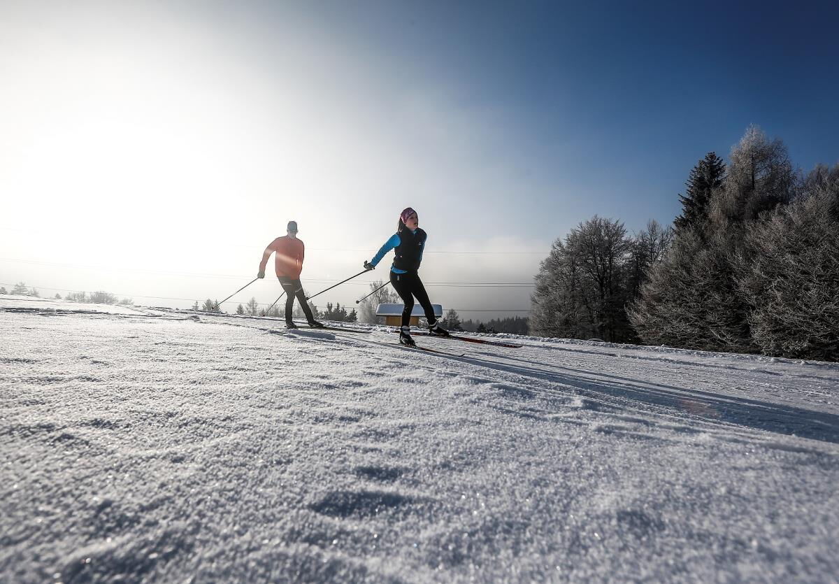 Zwei Langläufer ziehen ihre Spur über eine verschneite Hochfläche mit Wald am Rand