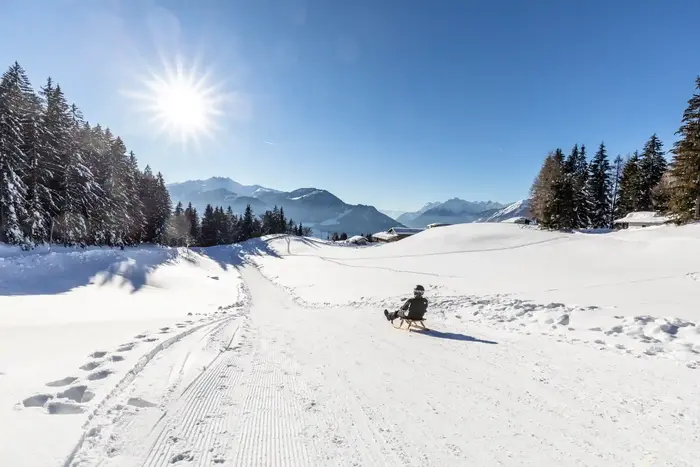 Sledding in the Alpbachtal