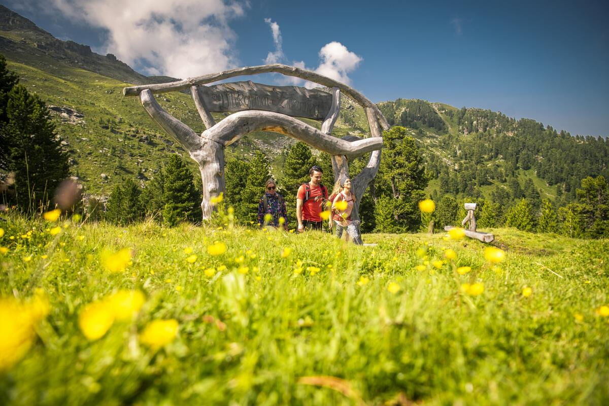 Familien stehen an einem hölzernen Aussichtspunkt auf einer gelb blühenden Bergwiese in Tirol