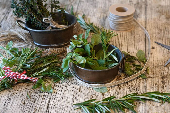 Herb walk – activity on a hut holiday