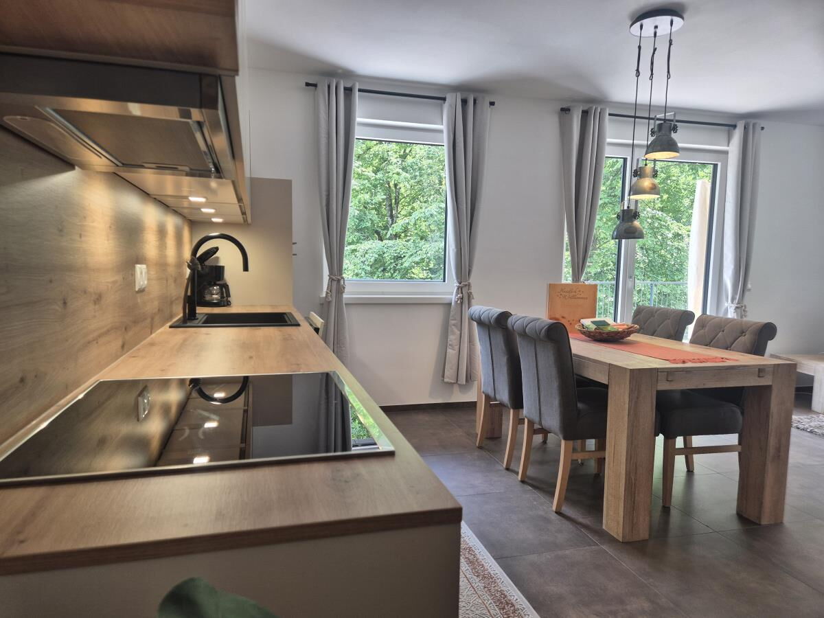 Kitchen counter with induction hob and kettle in the Waldsicht holiday apartment, with the dining area by the window behind