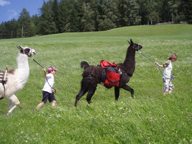 Kochhäusl in den Tuxer Alpen