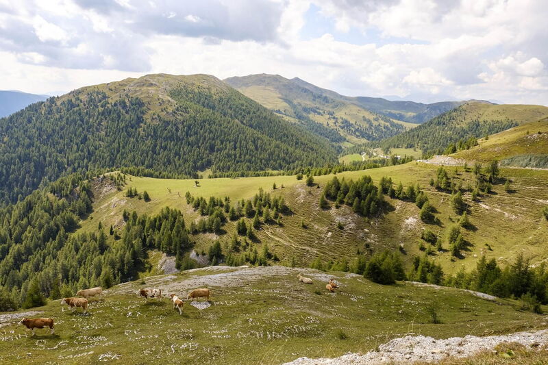 Pietschacher Almhütte Hochrindl
