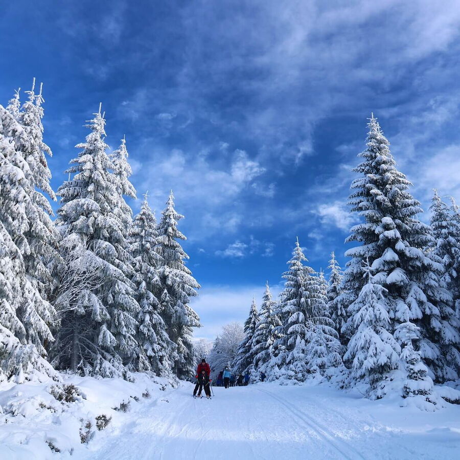 Die schön verschneite Winterlandschaft beim Langlaufen genießen.