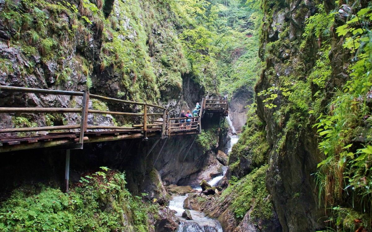 Klamm mit Holzsteg über dem Bach nahe Mühlenhütte, Wanderziel im Pielachtal im Mostviertel