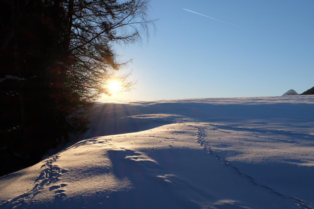 Tiefstehende Wintersonne über der verschneiten Wiese mit Spuren im Schnee am Karwendel – Hüttenwochenende in den Tiroler Bergen