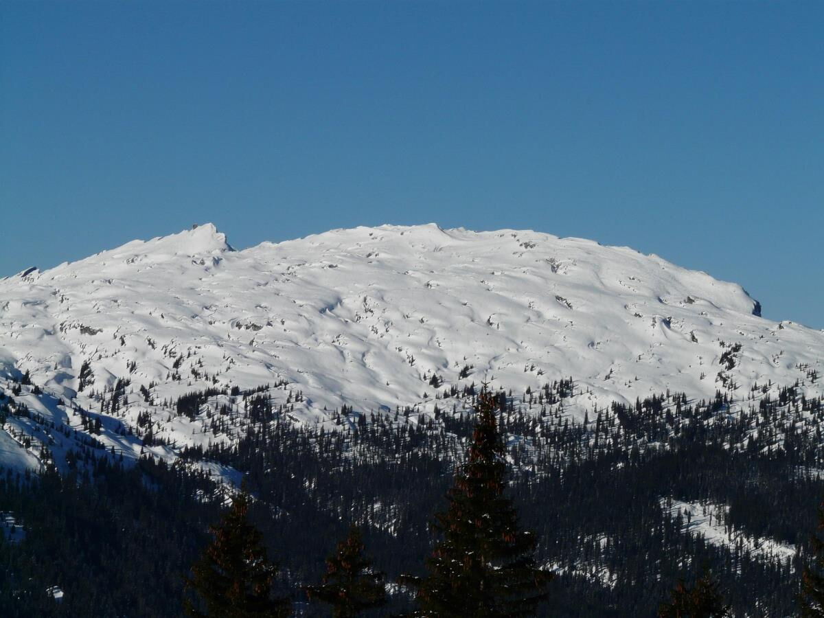 The Hoher Ifen with its distinctive snow-covered summit plateau above the mountain forest in the Kleinwalsertal, landmark of the holiday region around the Alpenglück luxury lodge Widderstein