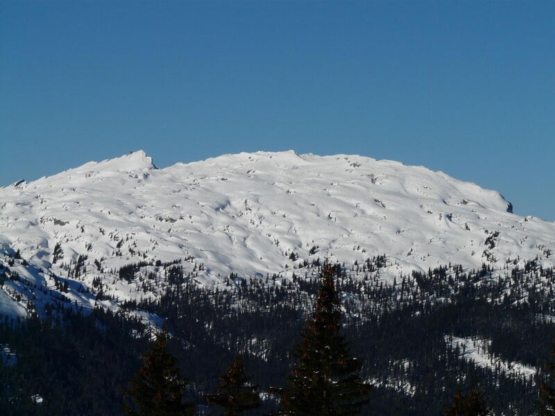 Alpenglück-LuxusLodge "Widderstein"