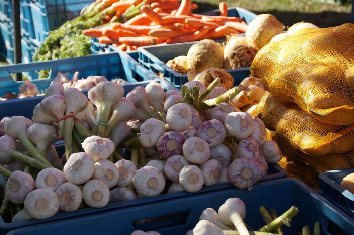 Regional specialities on a table