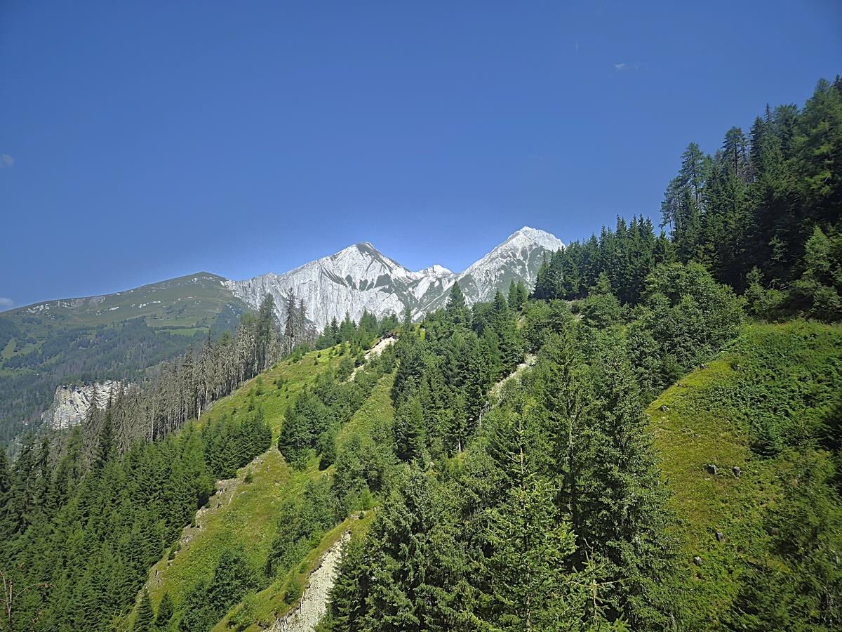 Bergkamm mit Wald und Felsgipfel über der Zarze Almhütte, Wandern im Nationalpark Hohe Tauern in Osttirol