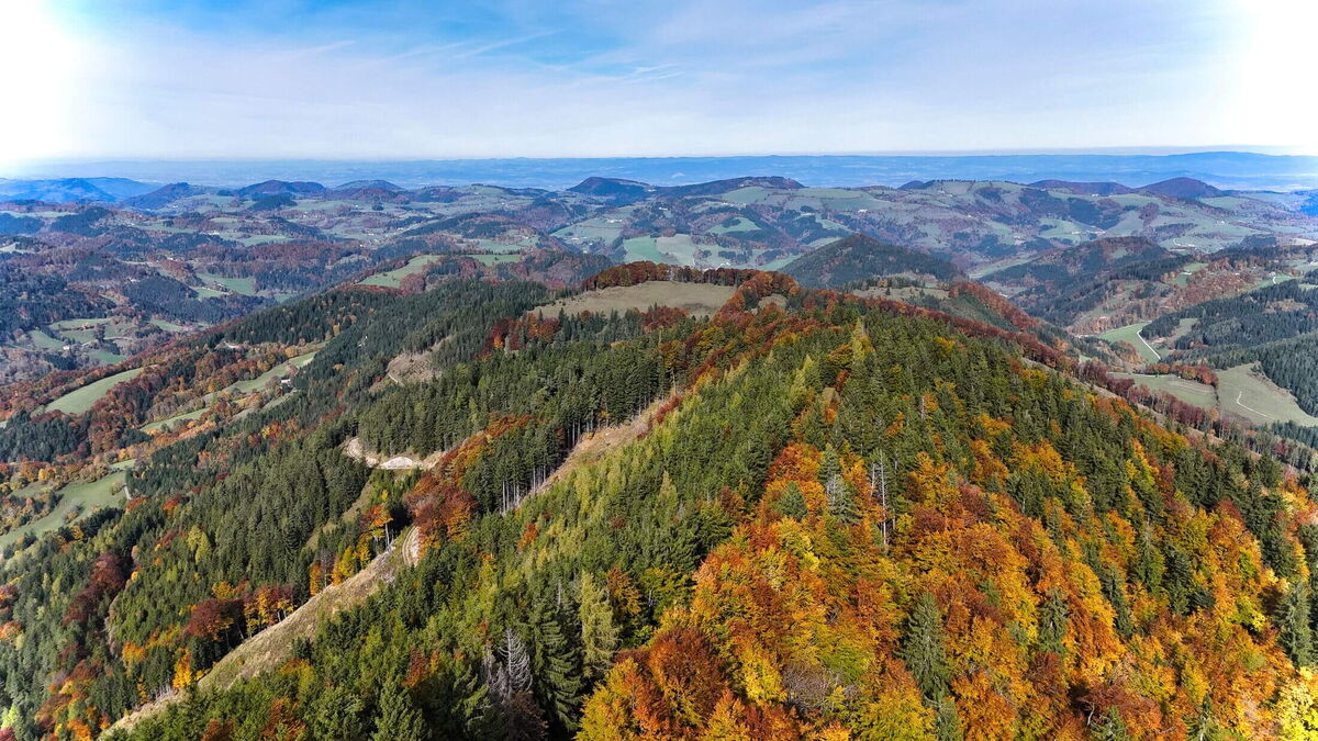 Herbstliches Bergpanorama mit bunt gefärbten Wäldern und Höhenzügen rund um die Abenteurer-Hütte.