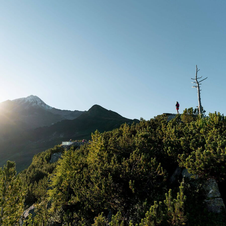 Sonnenaufgang am Ahorn Sunrise genießen.