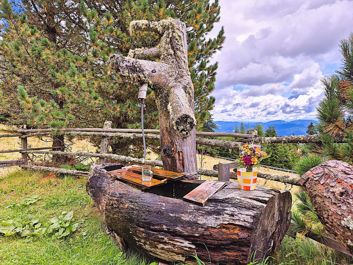 Ausgehöhlter Baumstamm als Brunnen im Garten der Pietschacher Almhütte, dahinter Weidezaun und Wolken