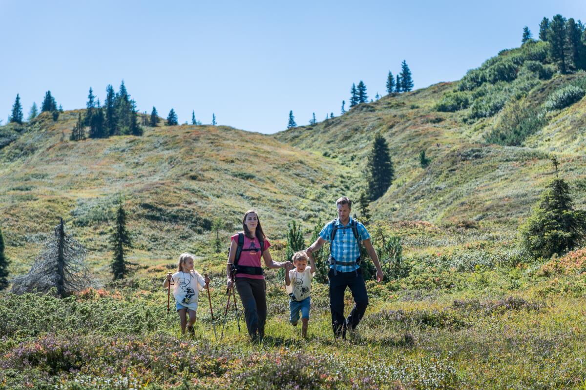 Familie mit zwei Kindern wandert über die grüne Almwiese in den Tuxer Alpen, Sommerurlaub ab der Ferienwohnung Sternenhimmel am Kolsassberg