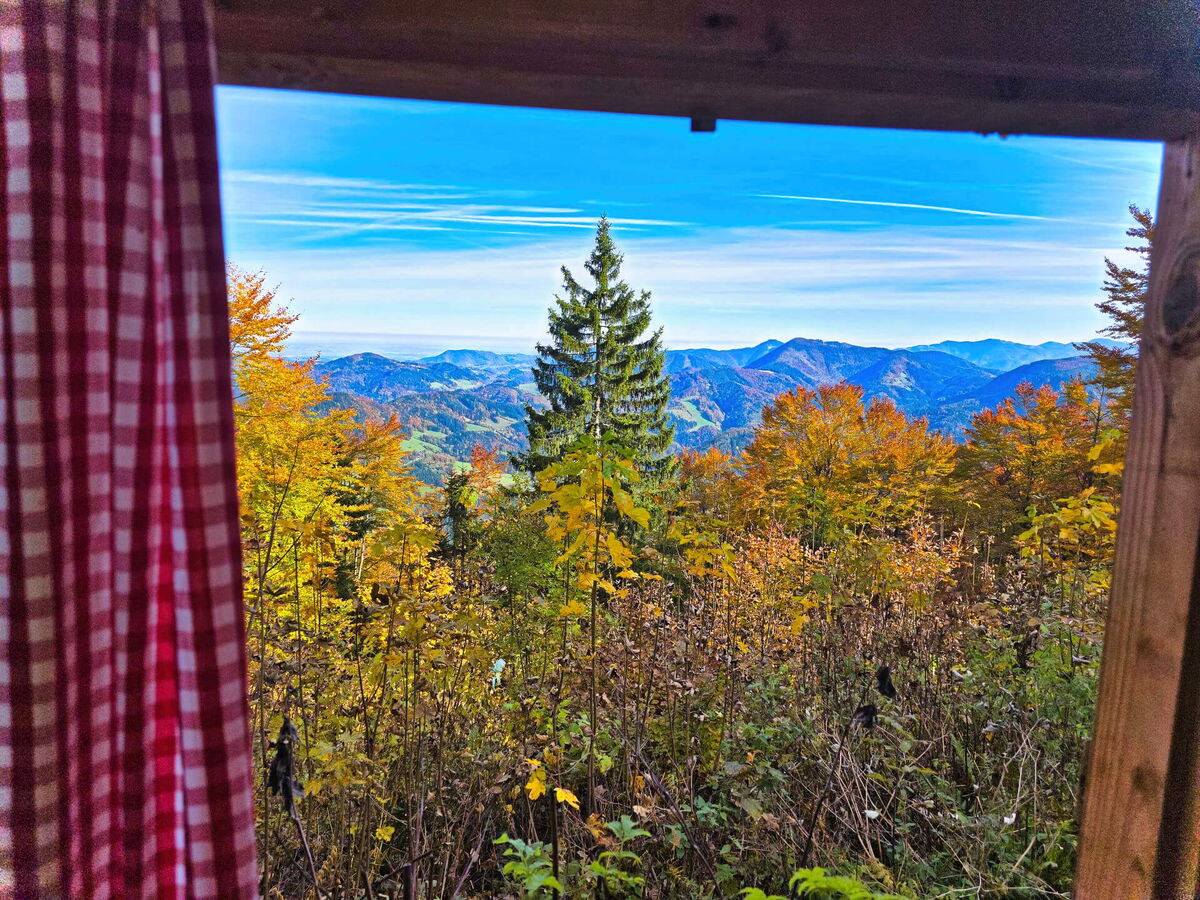 Blick aus dem Hüttenfenster der Abenteurer-Hütte auf herbstliche Berglandschaft mit bunt gefärbten Wäldern.