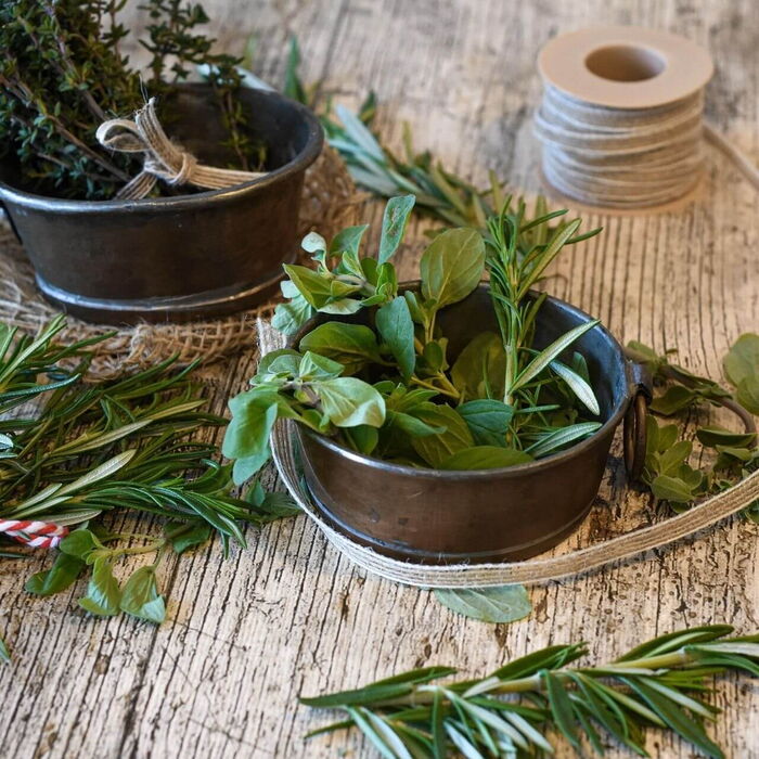 Mehrere verschieden Kräuter in der Natur erkundet und gesammelt.