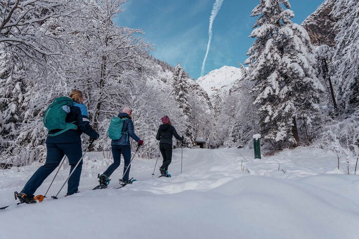 Snowshoe hiking in the Halltal