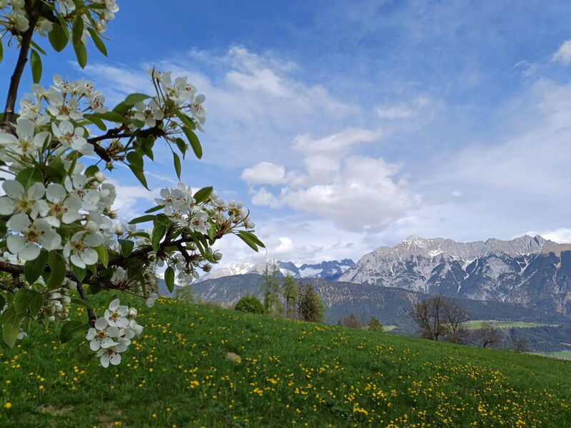 Ausblick vom Sternenhimmel auf das Karwendelgebirge
