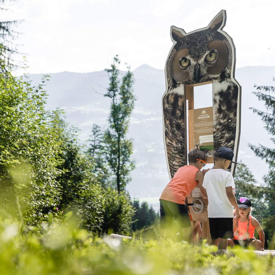 Die Rätselwanderung am Spieljoch bereitet den Kindern viel Freude