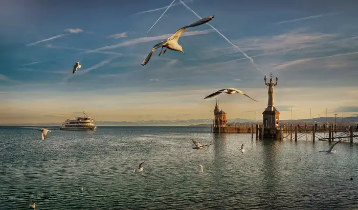 Möwen über dem Bodensee, an der Hafeneinfahrt die Imperia-Statue, dahinter ein Kursschiff