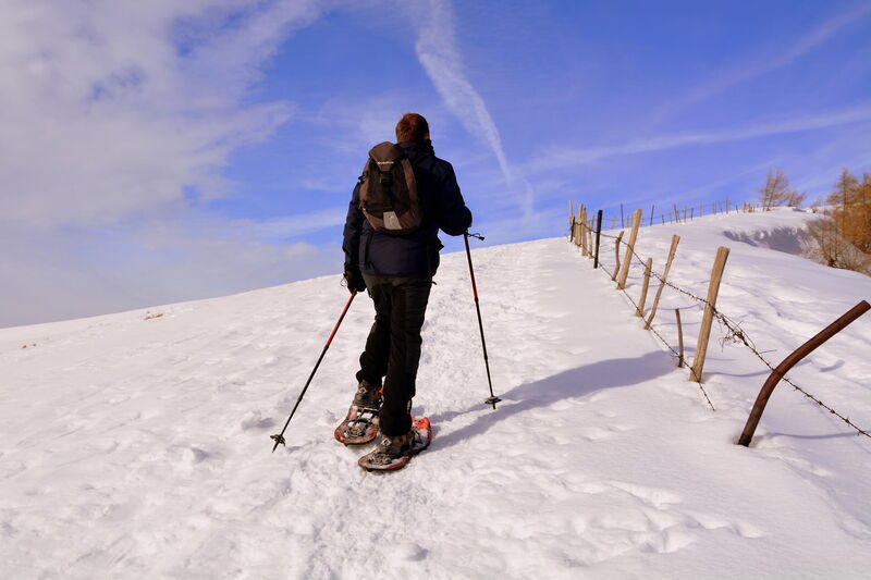 Two snowshoe hikers climbing along a snow-covered pasture fence in the Nock Mountains